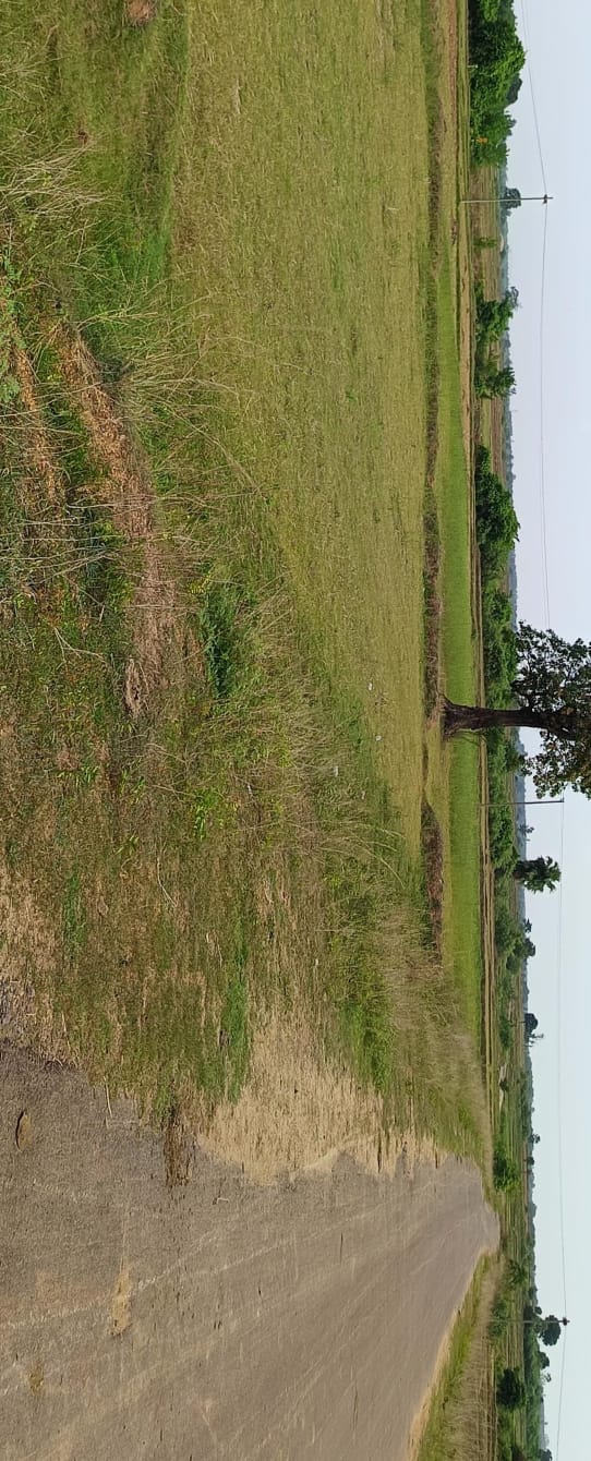 1 Acre Land for sale in warangal 