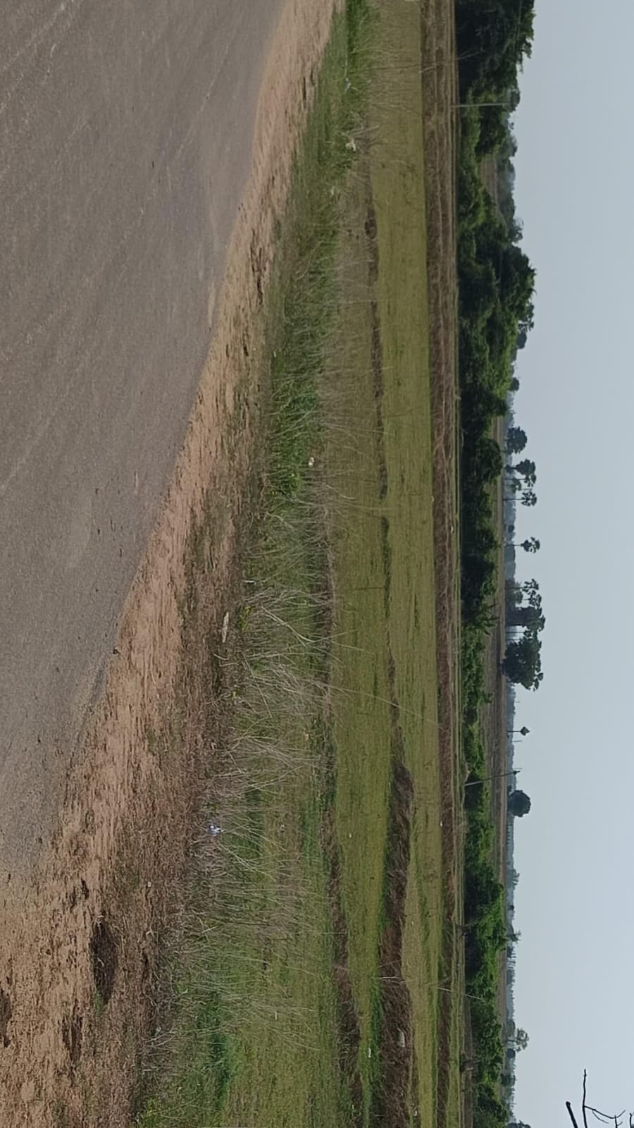 View 3